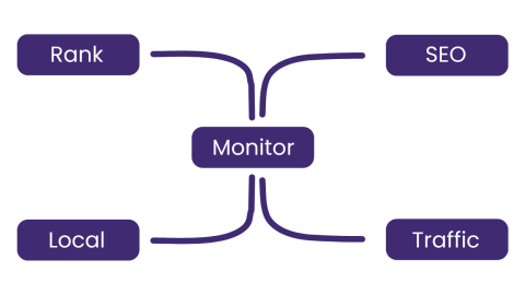 XEO tracks website traffic, SEO, rankings and more